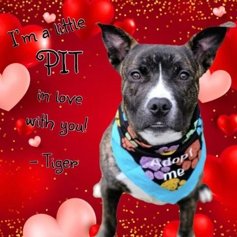 October 2025 Newsletter