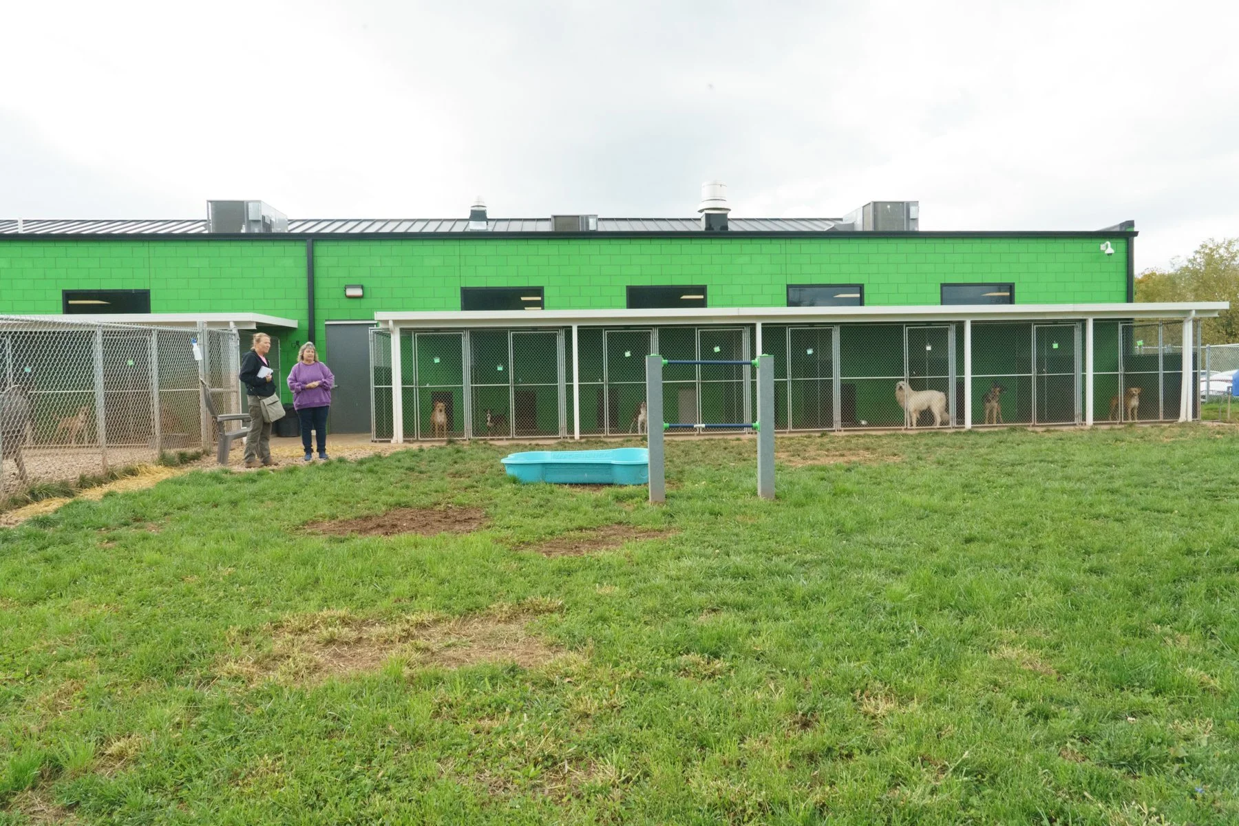 Jackso nCount yAnima lShelter-105.jpg