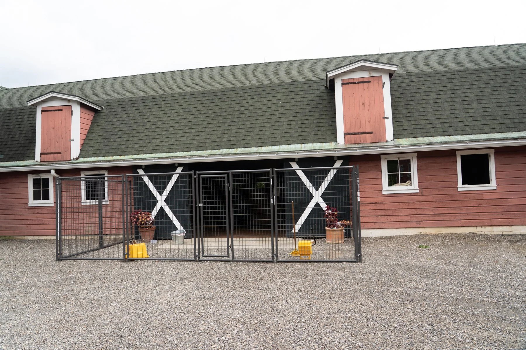 Animal Farm Foundation-39 (1).jpg