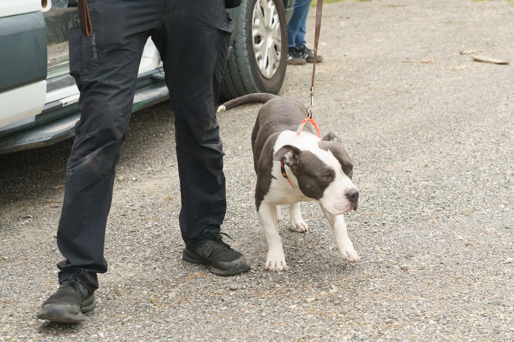 Animal Farm Foundation-54.jpg