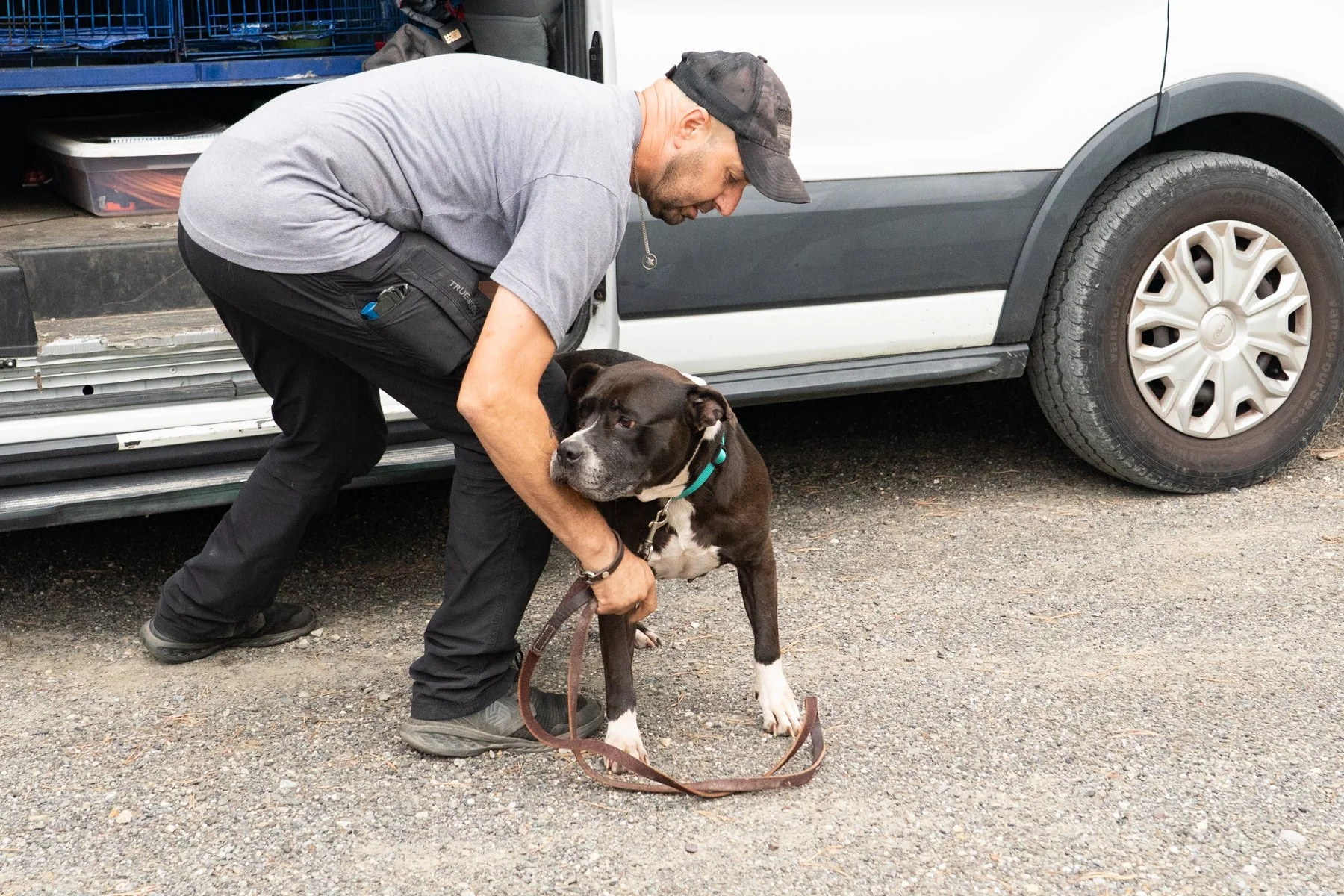 Animal Farm Foundation-58.jpg