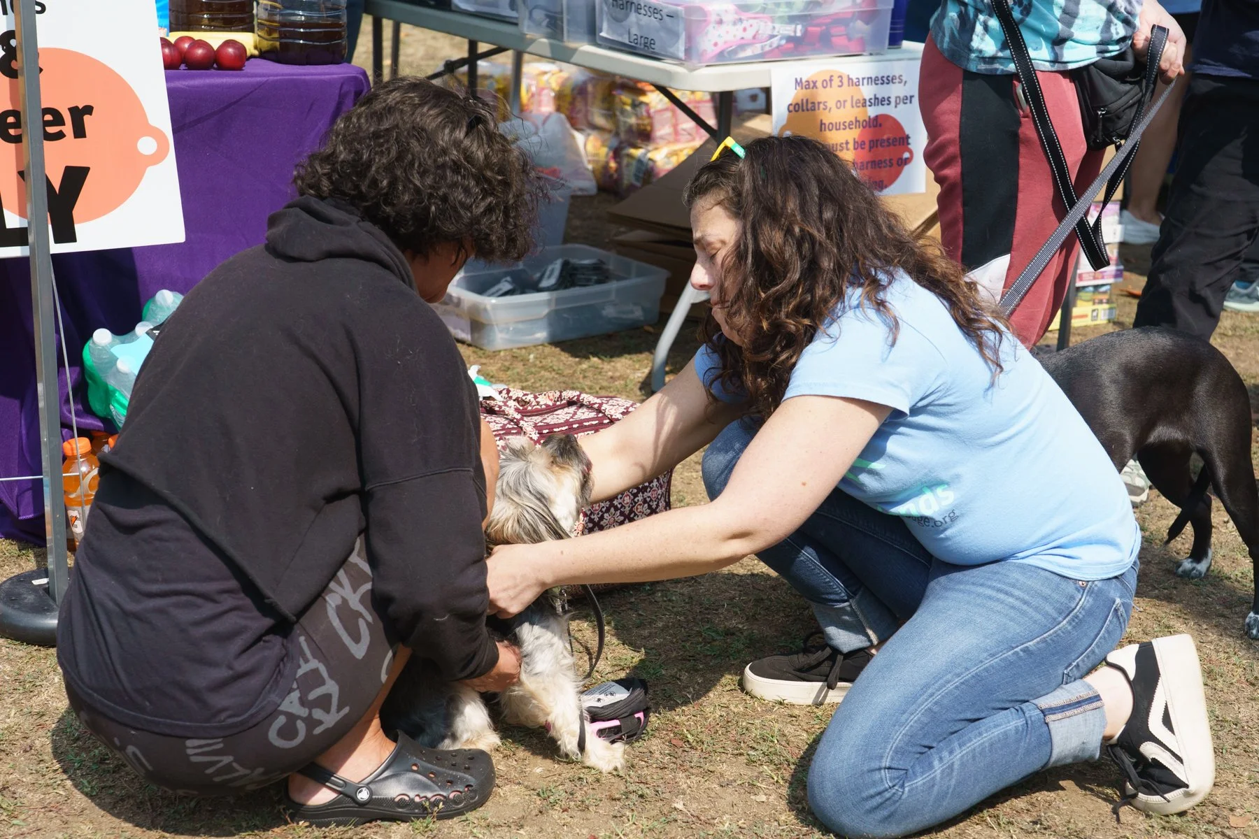 Animal Friends-45.jpg