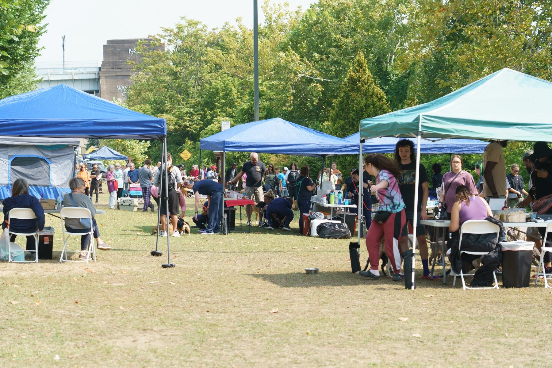 Animal Friends-38.jpg