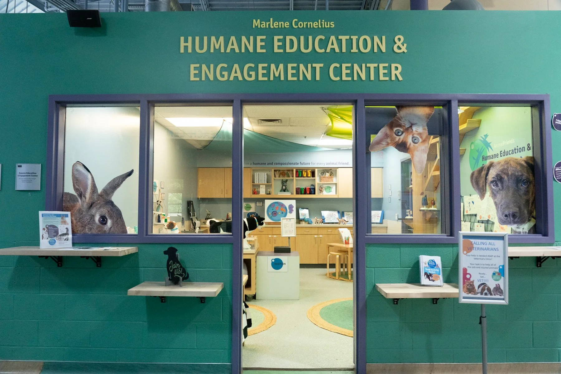 Animal Friends-12.jpg