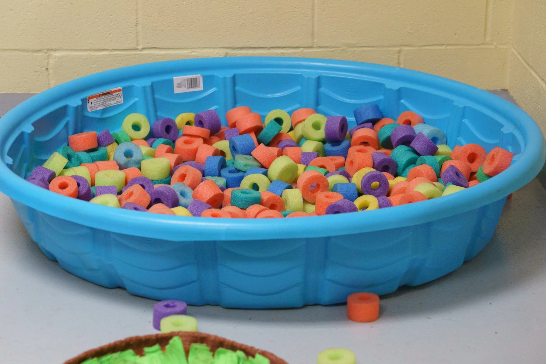 Animal Friends-85.jpg