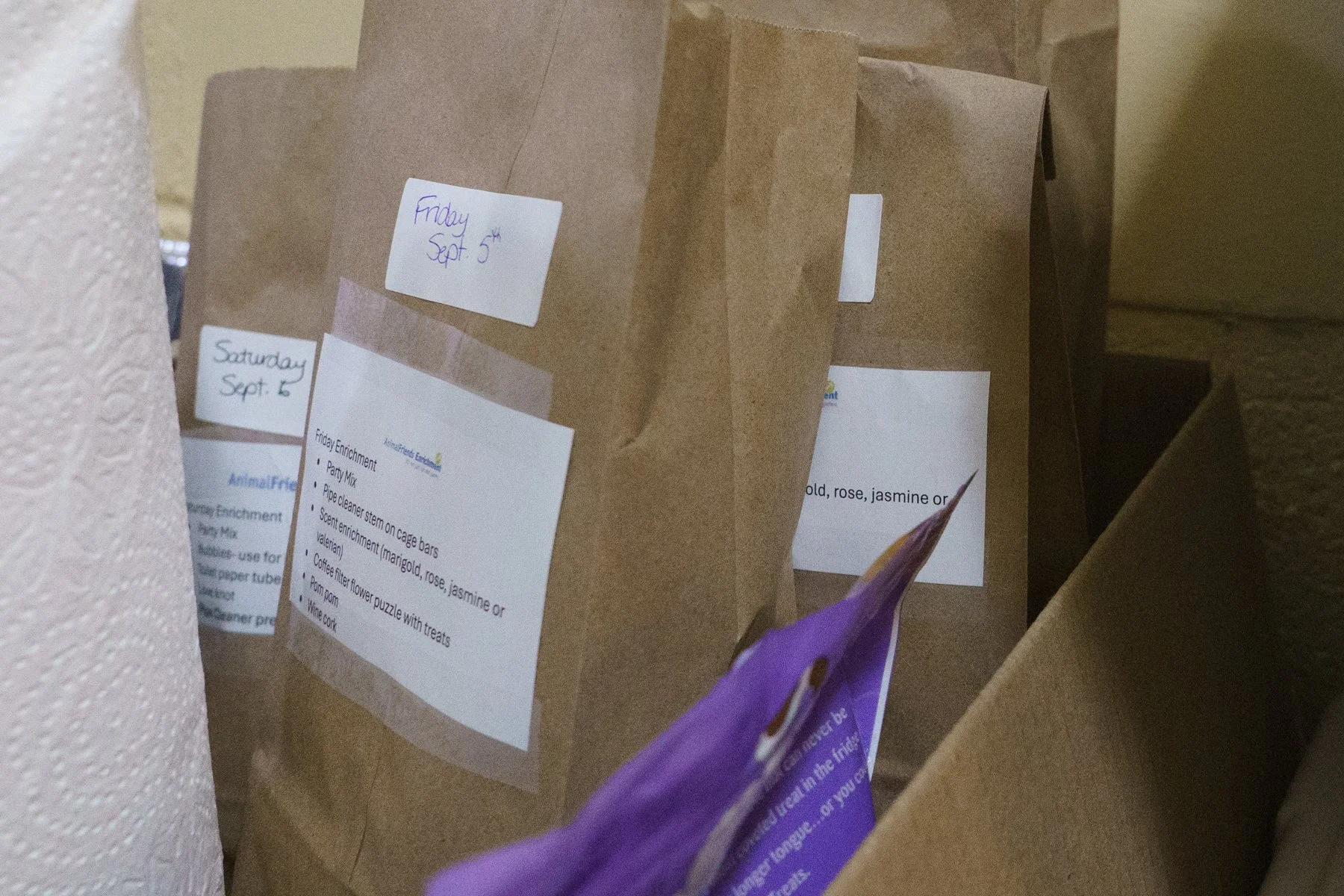 Animal Friends-64.jpg