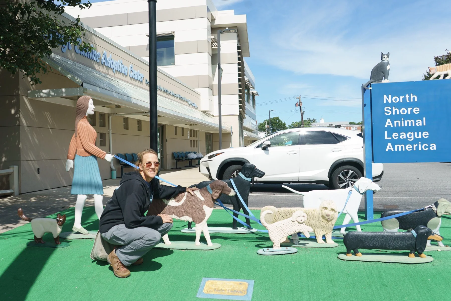 volunteers with dogs at north shore animal league
