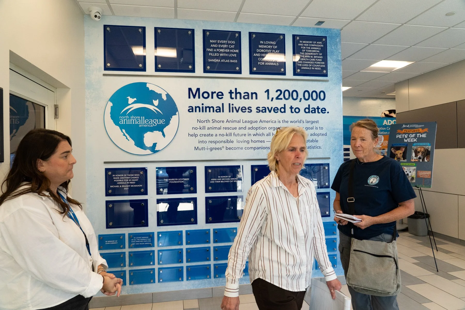 Inside North Shore Animal League America’s Shelter Relocation Program