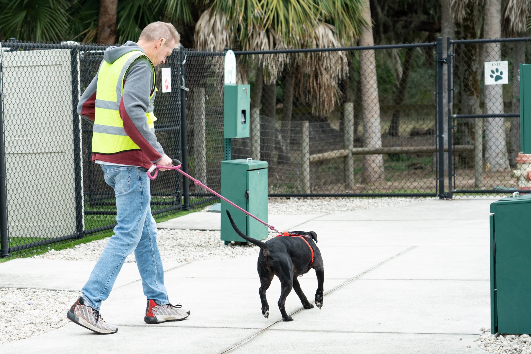 volunteer and dog