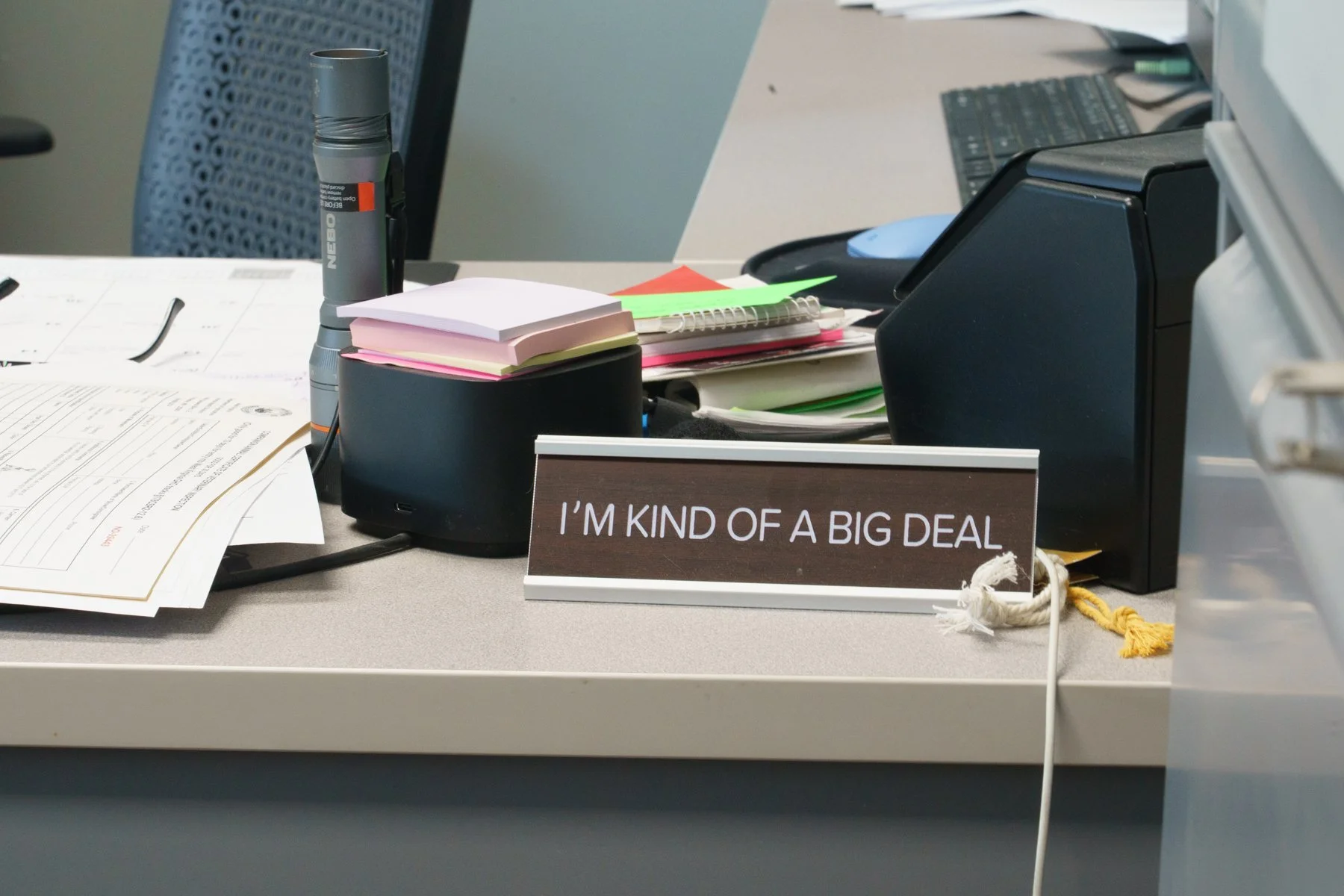 Jackso nCount yAnima lShelter-115.jpg