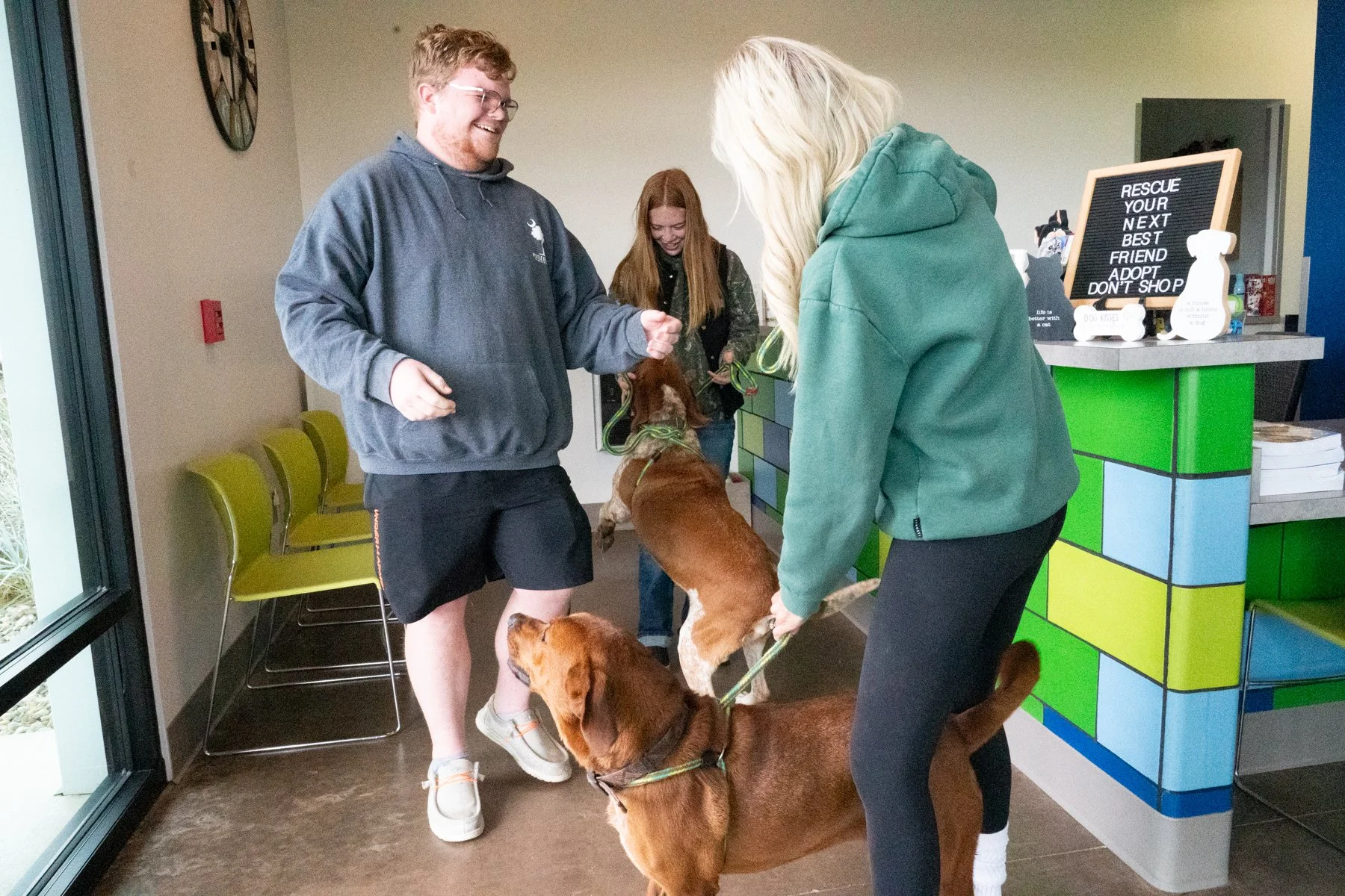 Jackso nCount yAnima lShelter-17.jpg