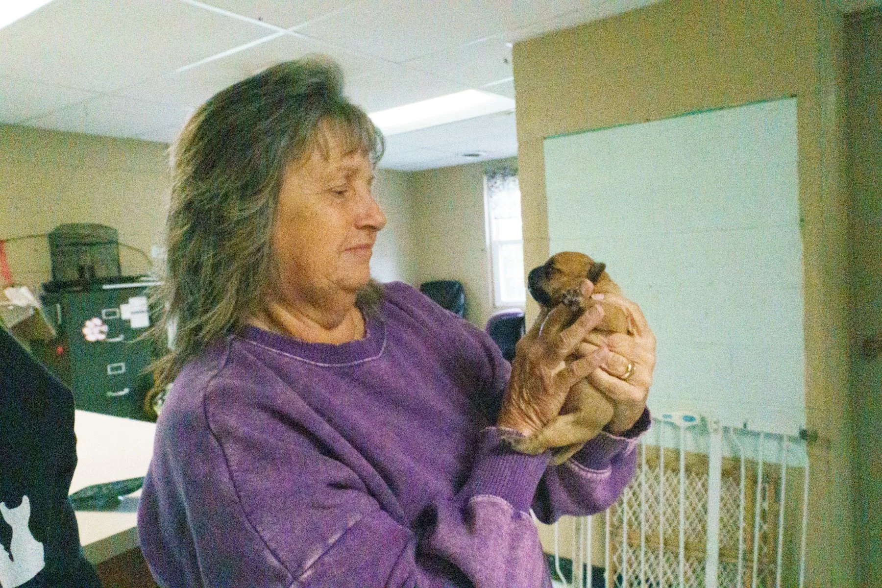 Jackso nCount yAnima lShelter-156.jpg