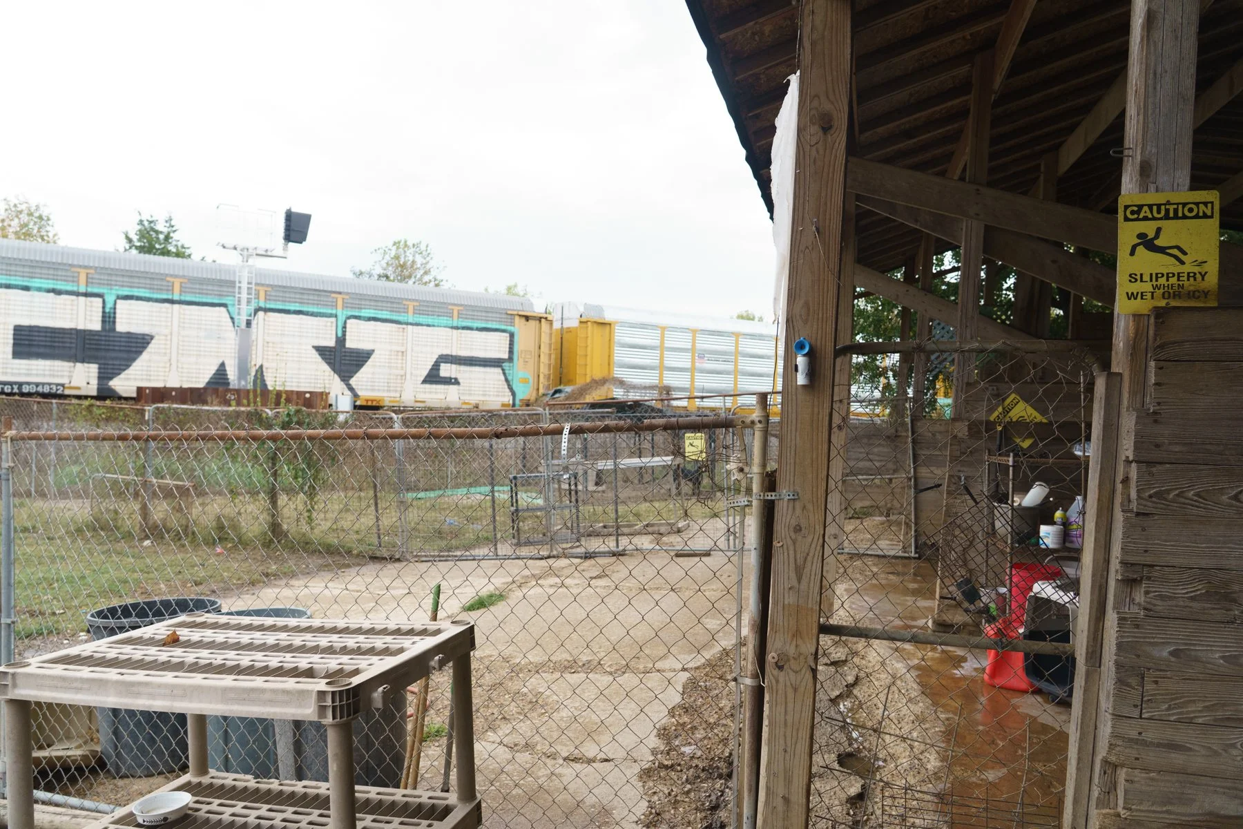 ClarkCounty Humane-192.jpg