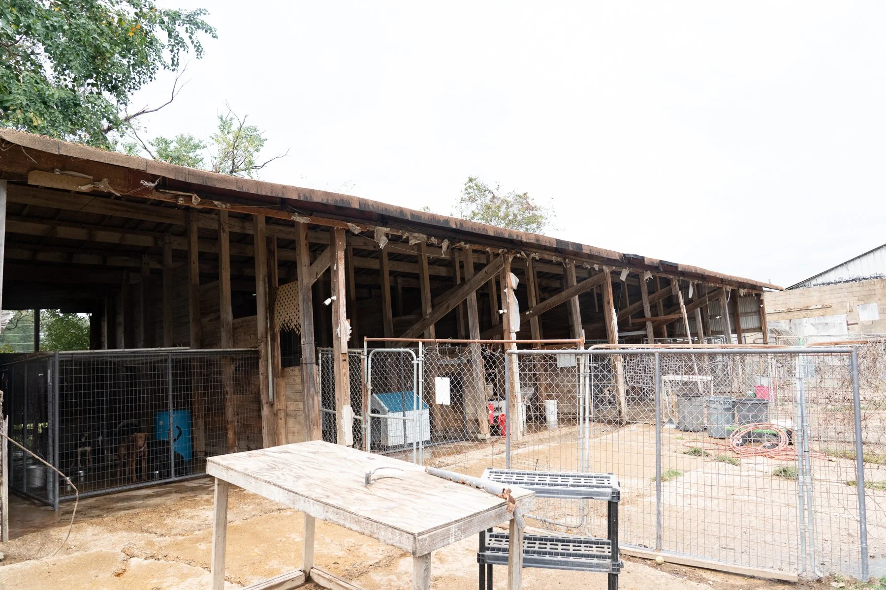 ClarkCounty Humane-164.jpg