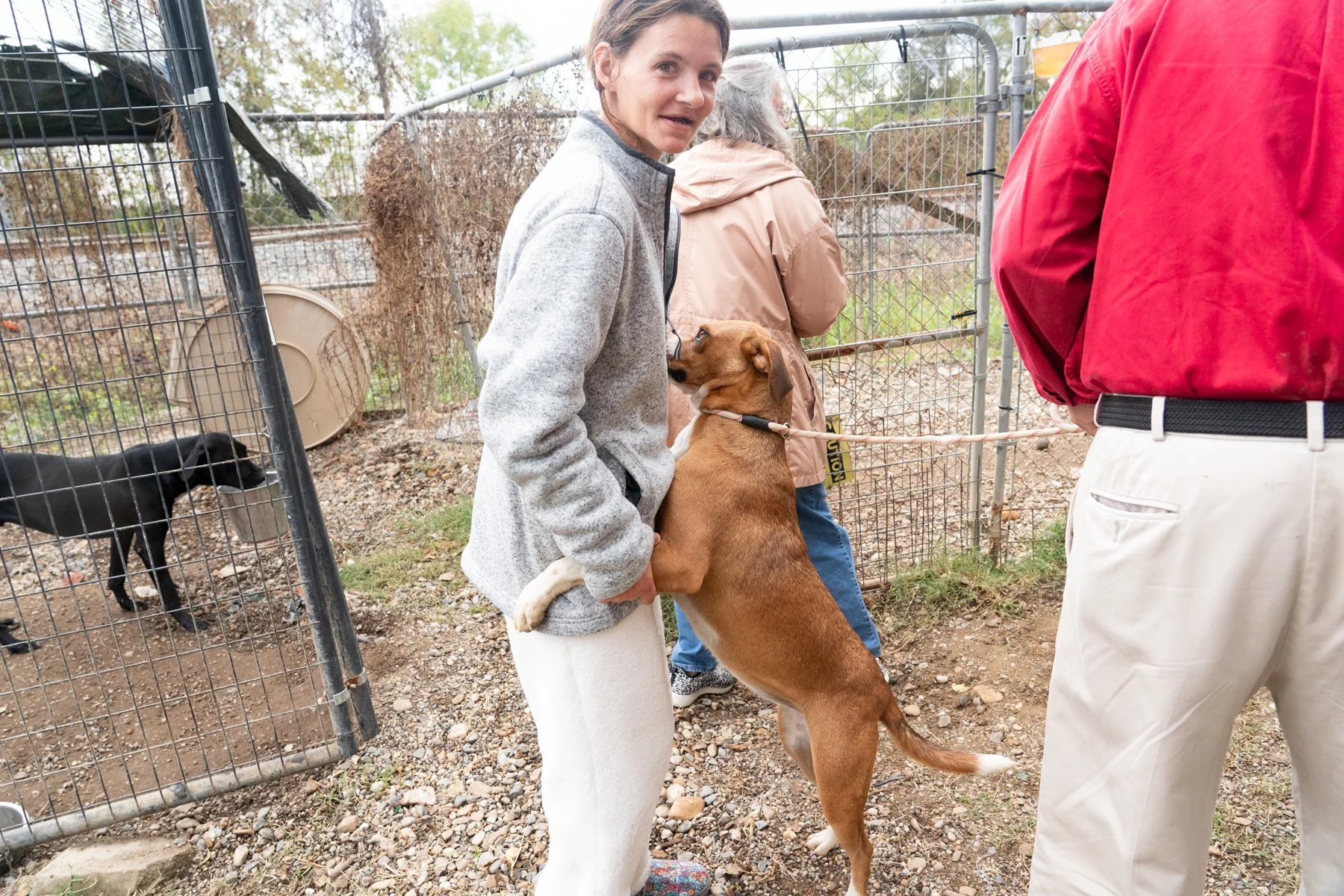 ClarkCounty Humane-188.jpg