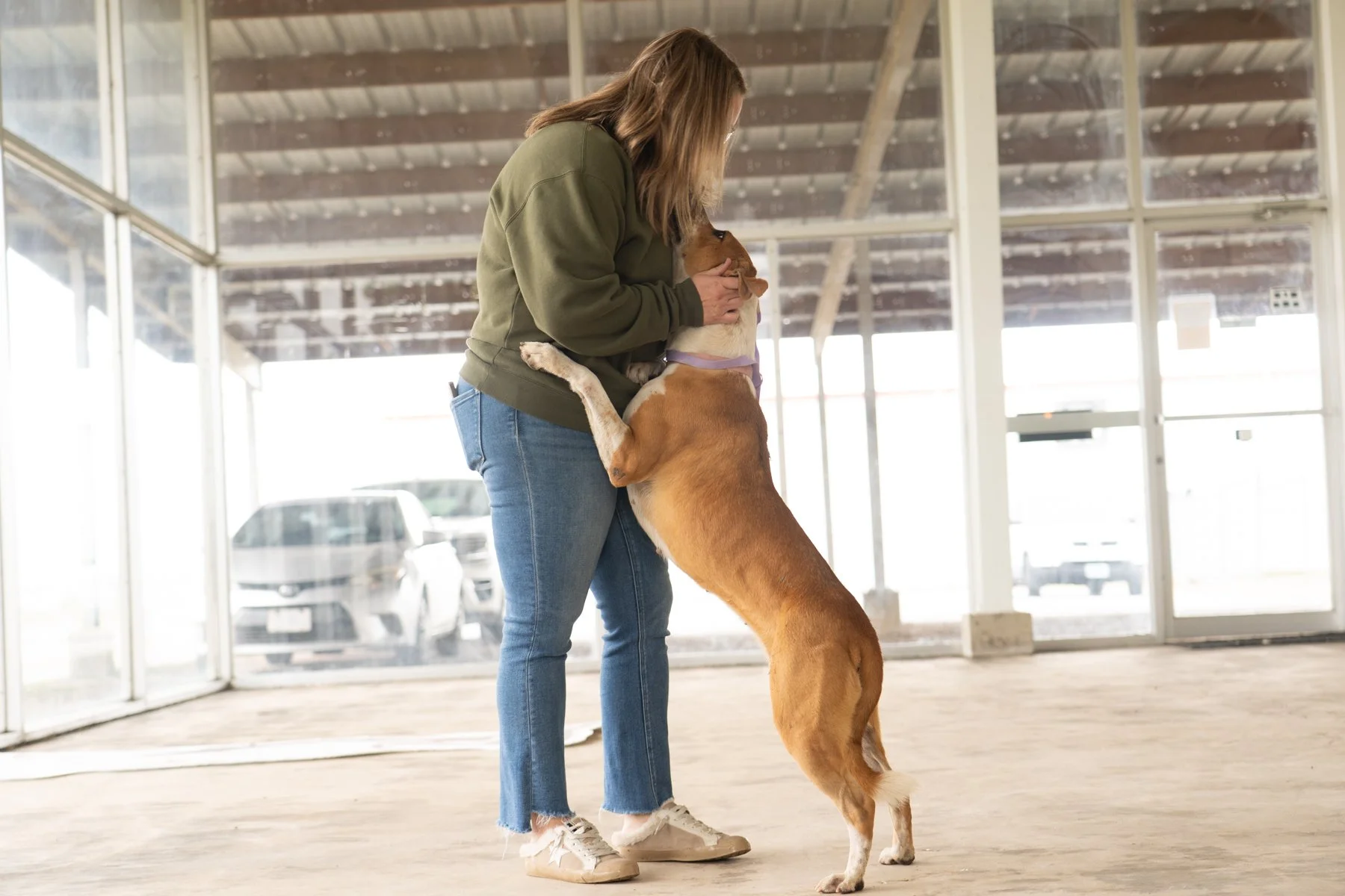 CARES: Shelter Saving Lives Through Transparency, Kindness, and the Power of Social Media