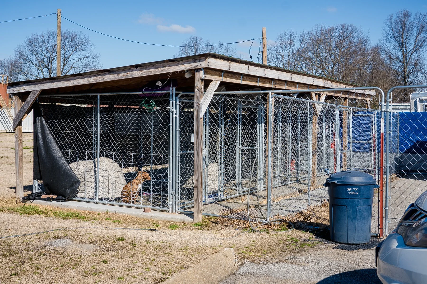 10 Practical Steps To Reform Your Animal Shelter
