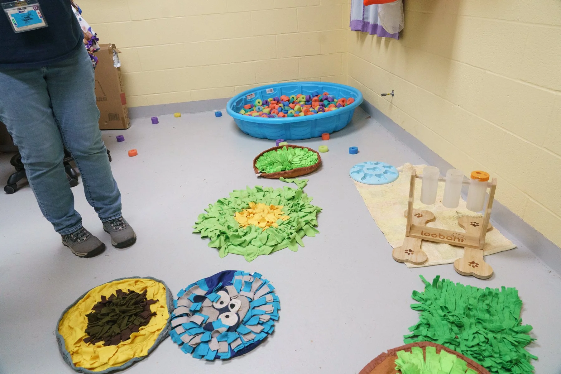 Dog Enrichment Ideas for Animal Shelters: Practical Ways to Reduce Stress, Improve Behavior, and Increase Adoptions