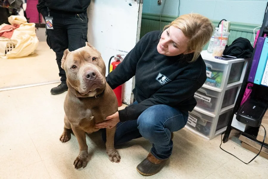 Habersham County Shelter's Excellent Staff Find Ways to Make Open Intake Work