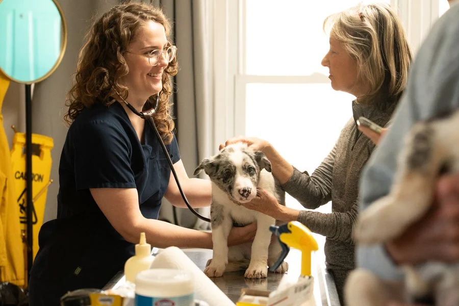 CASA is Saving Thousands of Lives Every Year in Tennessee