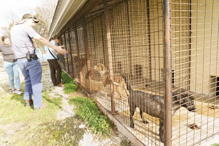 What Will It Take to Change the Huntingdon Dog Pound to a More Humane Animal Shelter?