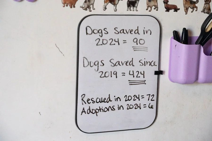 Little Shelter That Could in Robertson County, KY