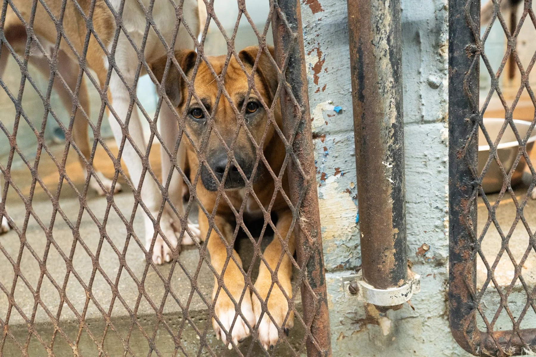 Nothing Fancy but Estill County is Saving Lives