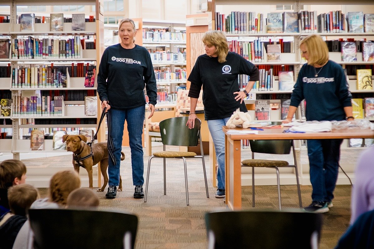 How Community Engagement Helps Animal Shelters Save More Lives