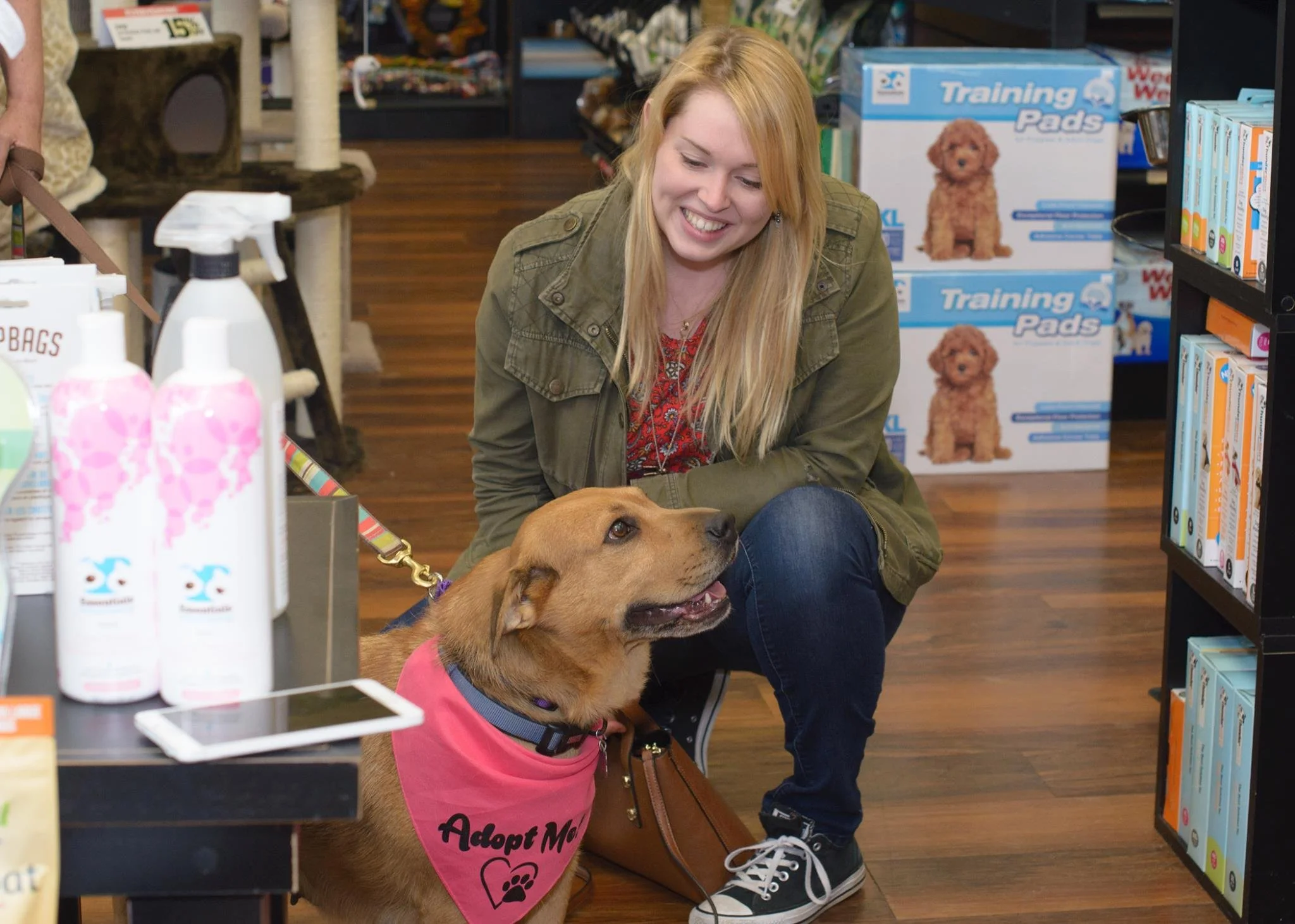 How Shelters Can Build a Foster Program That Actually Works