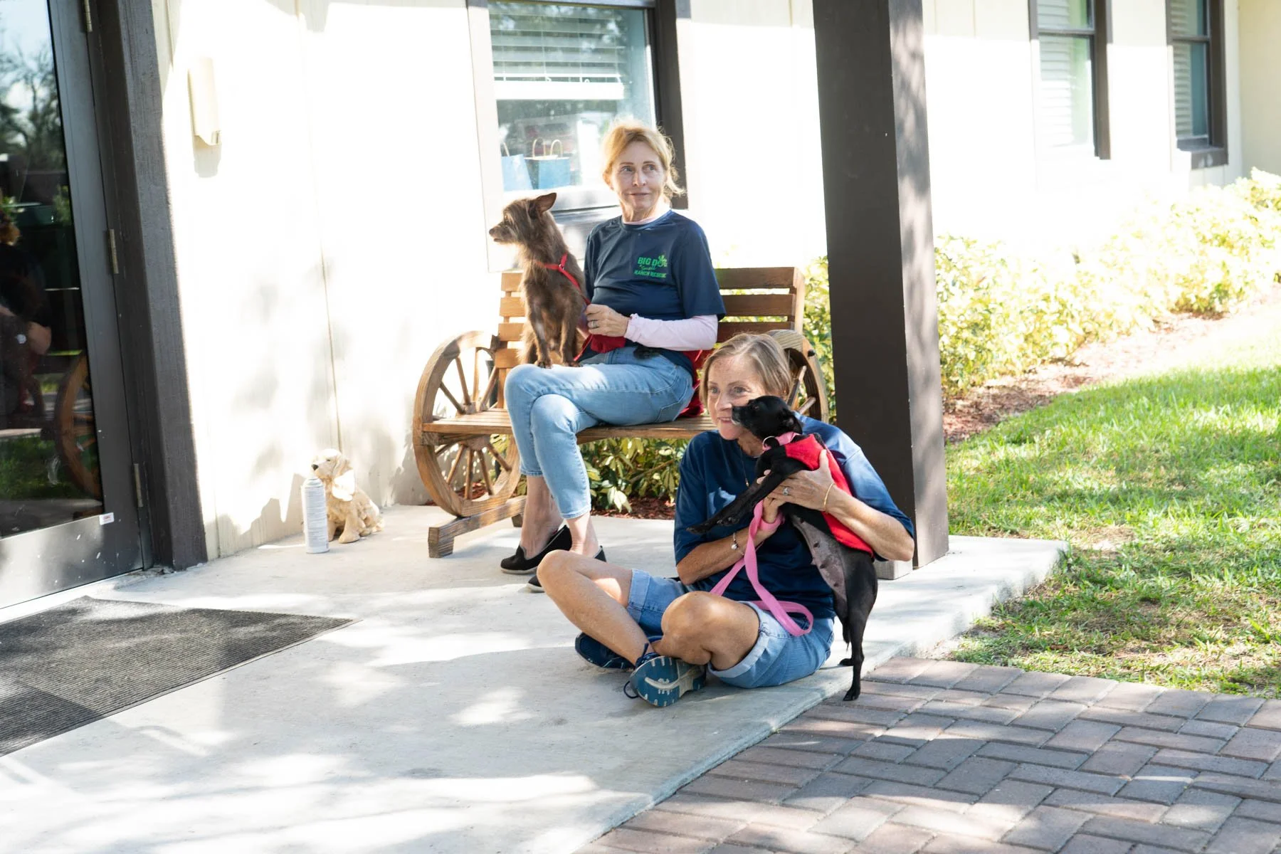 How Animal Shelters Can Create a “Friends Of” Volunteer Group That Saves More Lives