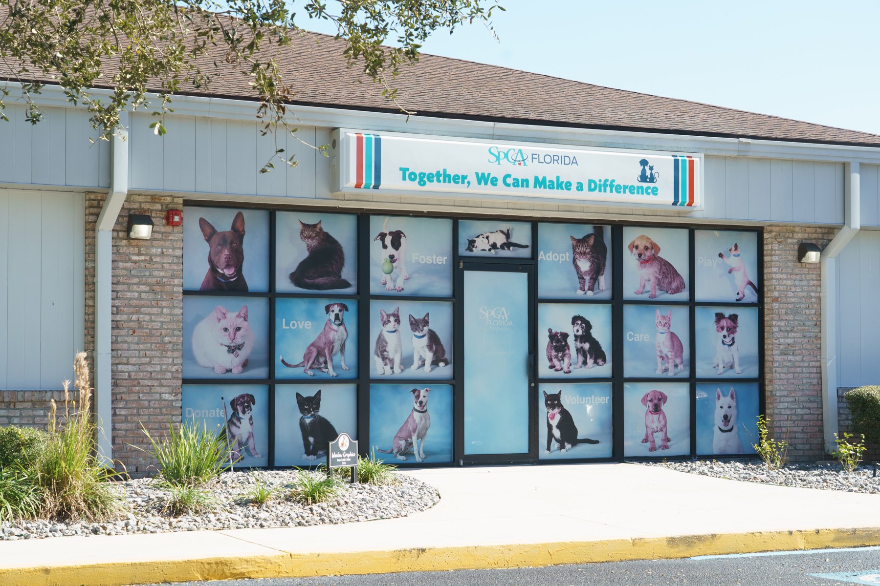 SPCA Florida-4 (1).jpg