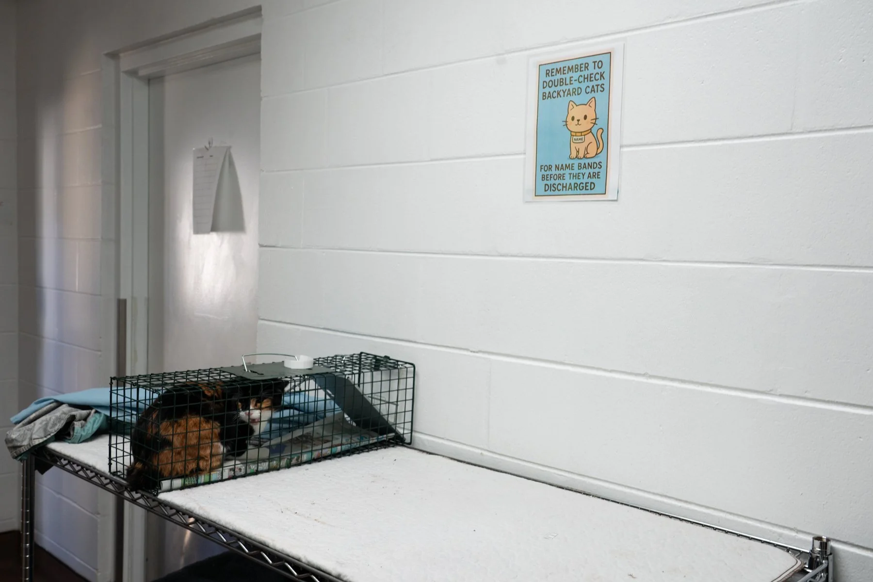 SPCA Florida-18 (1).jpg