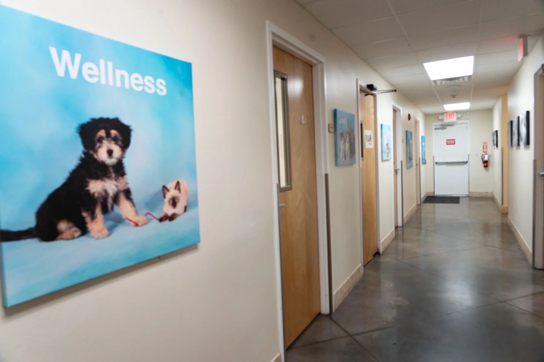 SPCA Florida-16.jpg