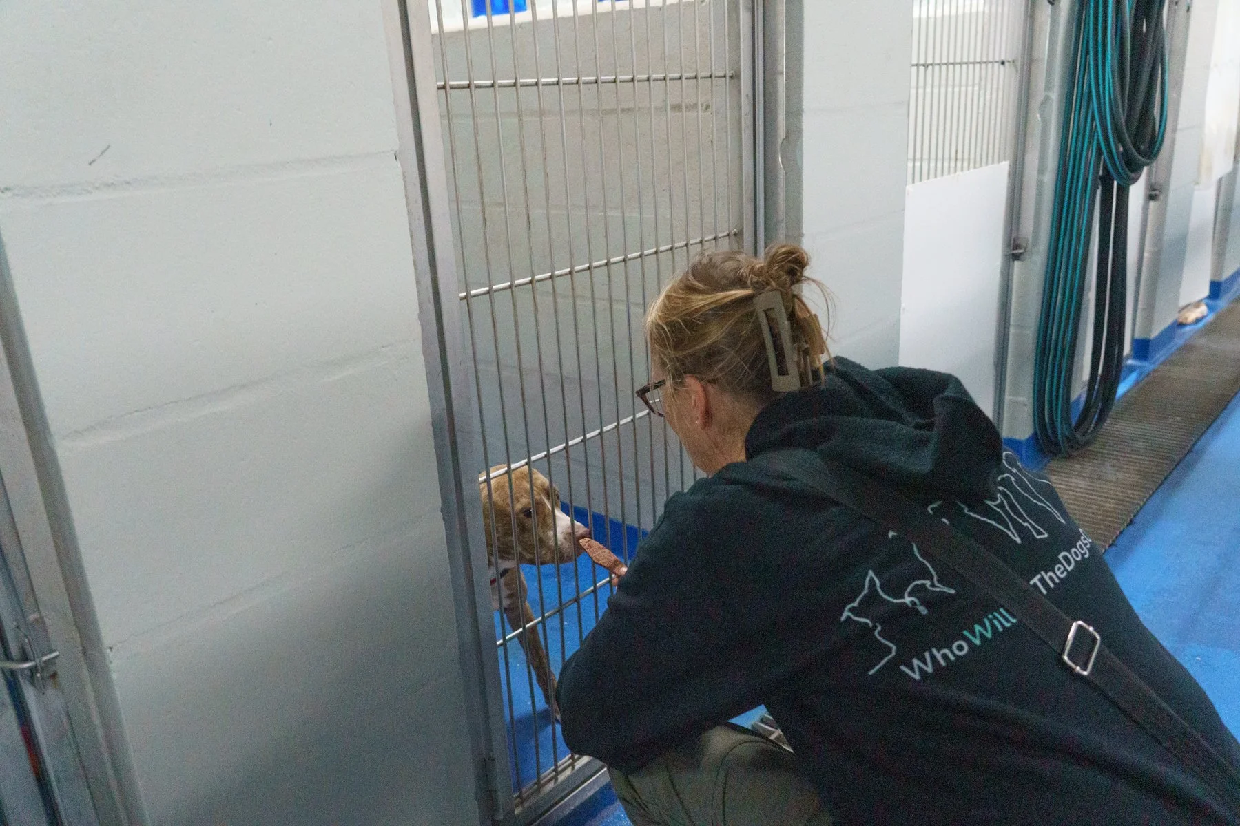 SPCA Florida-66 (1).jpg