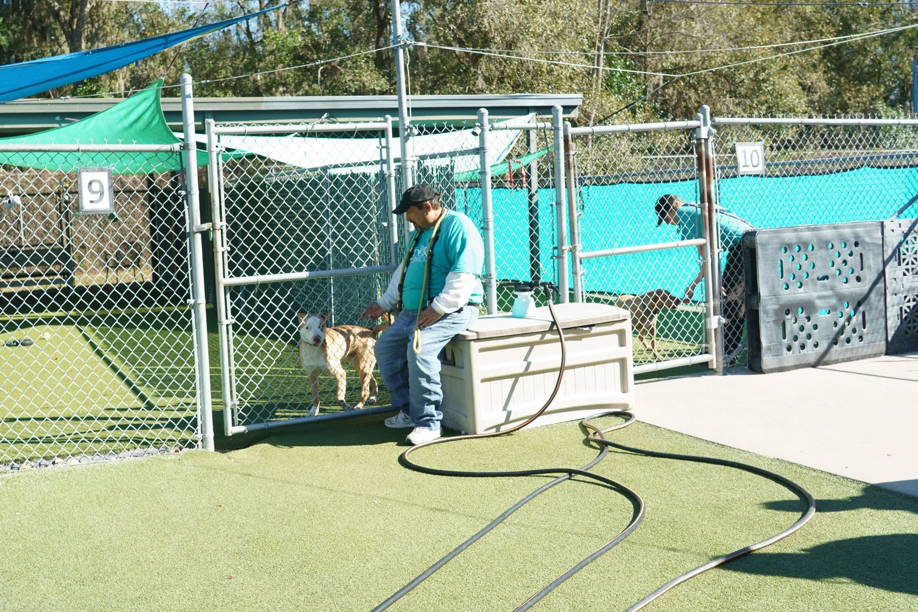 SPCA Florida-51 (1).jpg