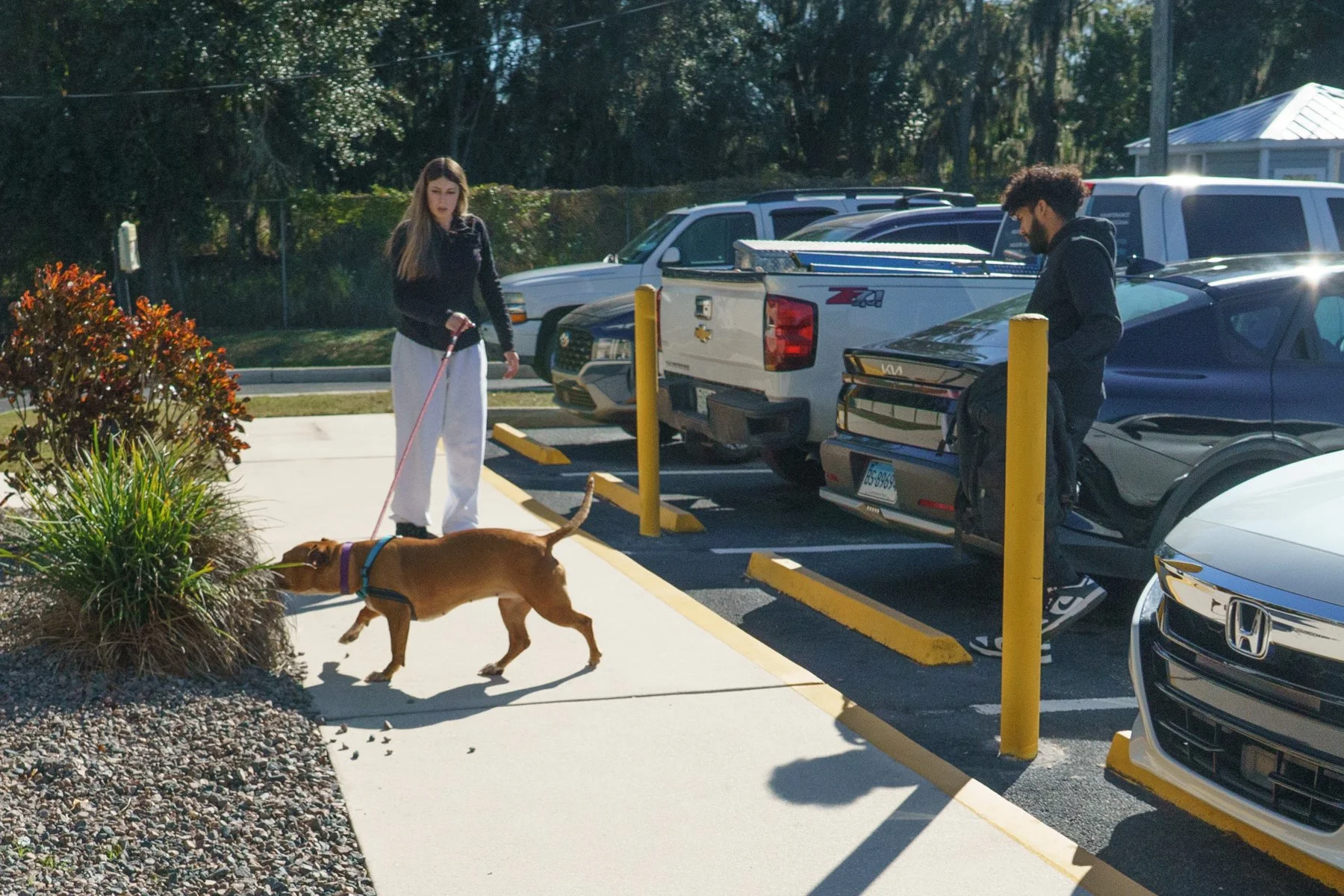SPCA Florida-87.jpg