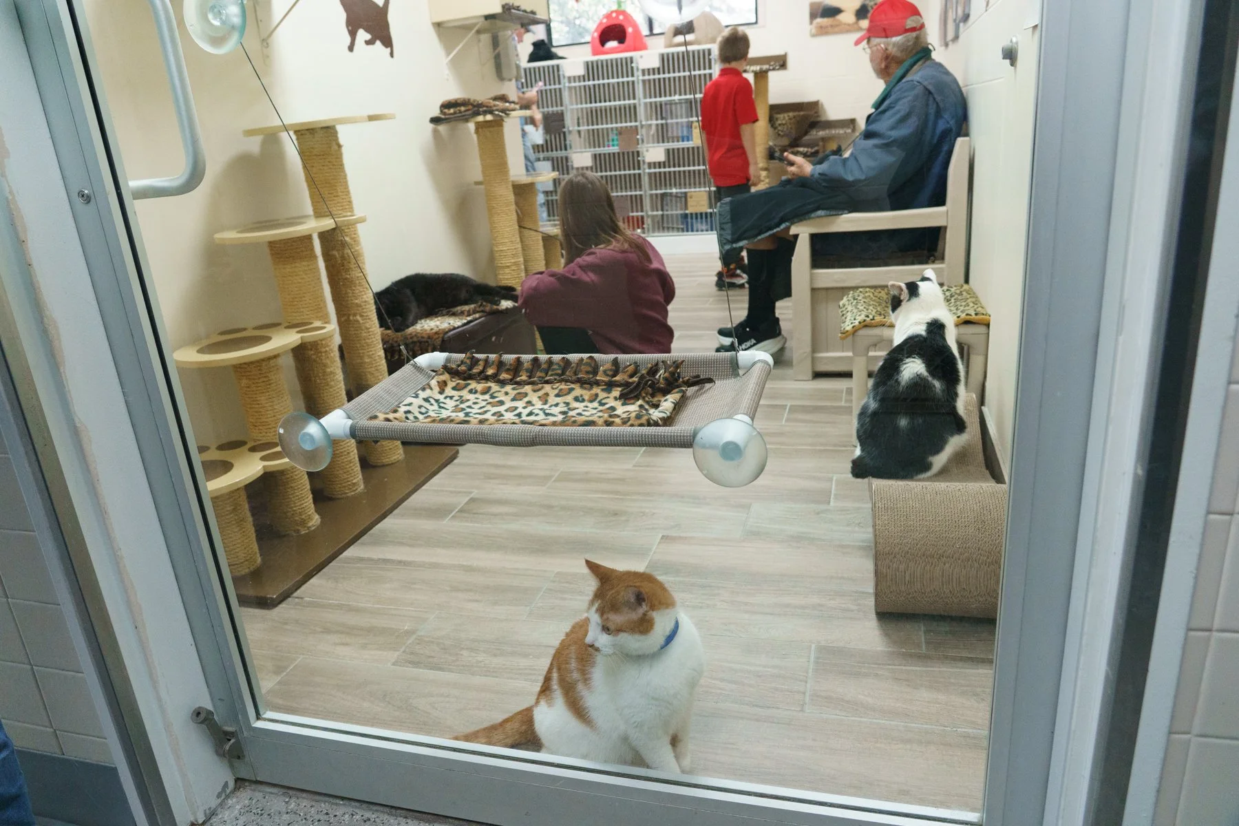 SPCA Florida-75 (1).jpg
