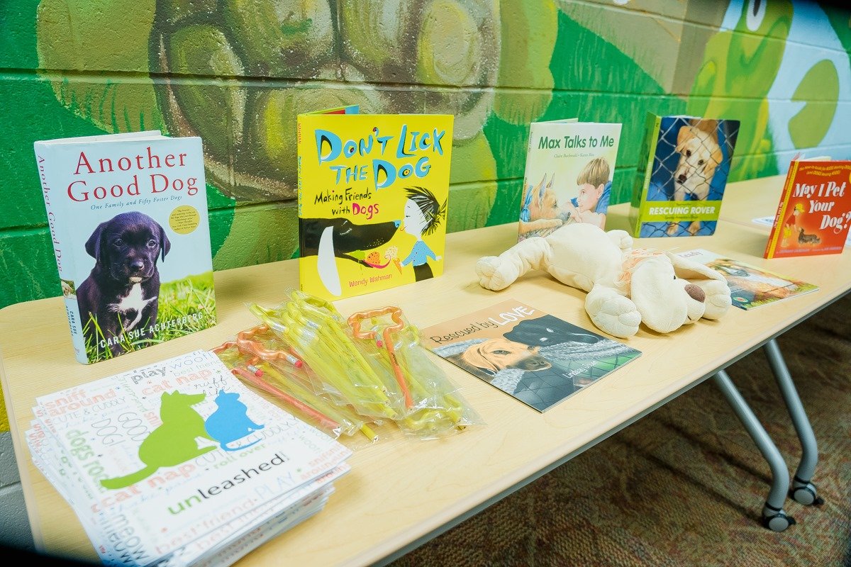 Why Teaching Children About Animal Welfare May Be the Most Powerful Way to Reduce Animal Abuse