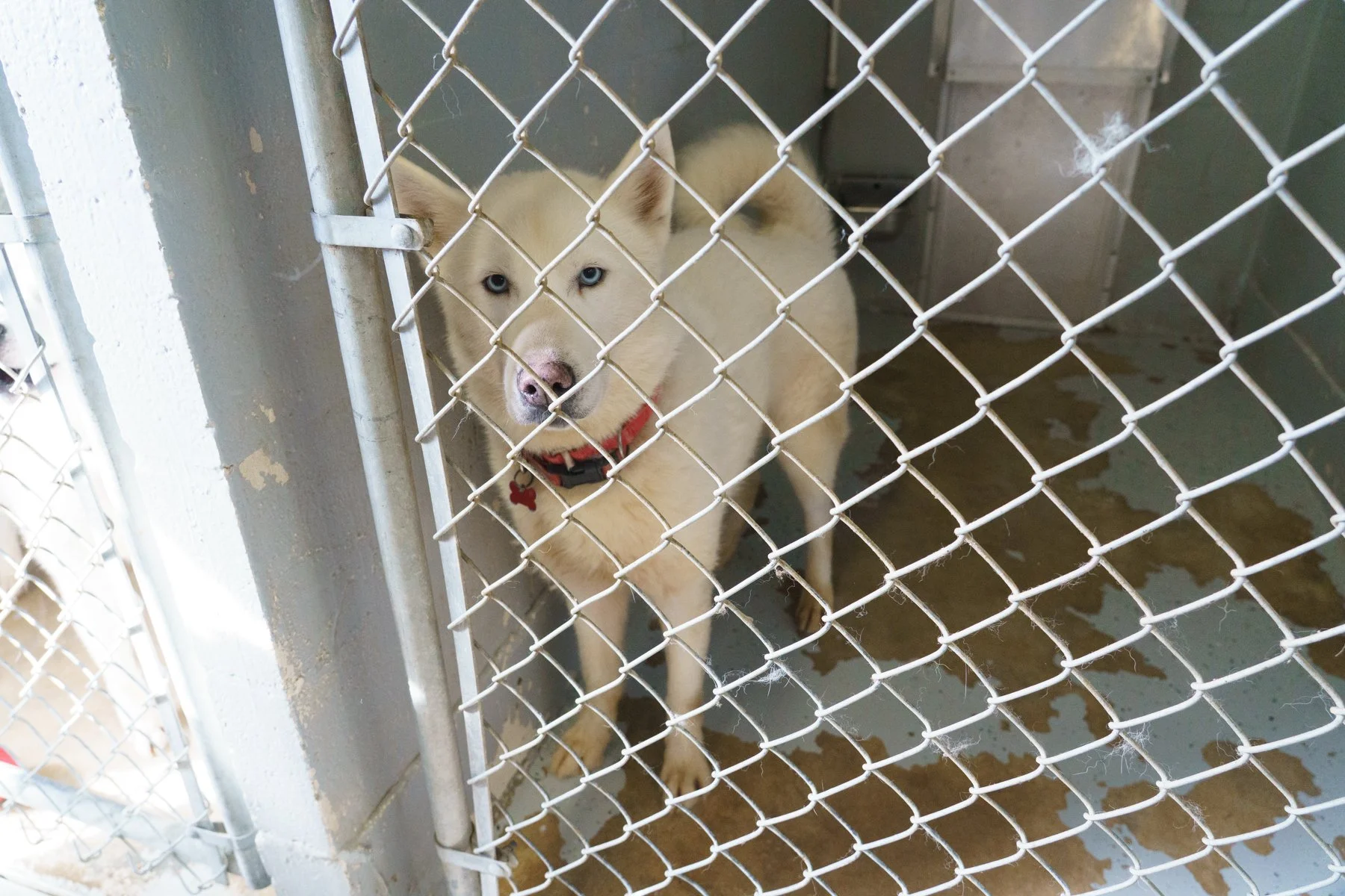 clewiston-61 (1).jpg