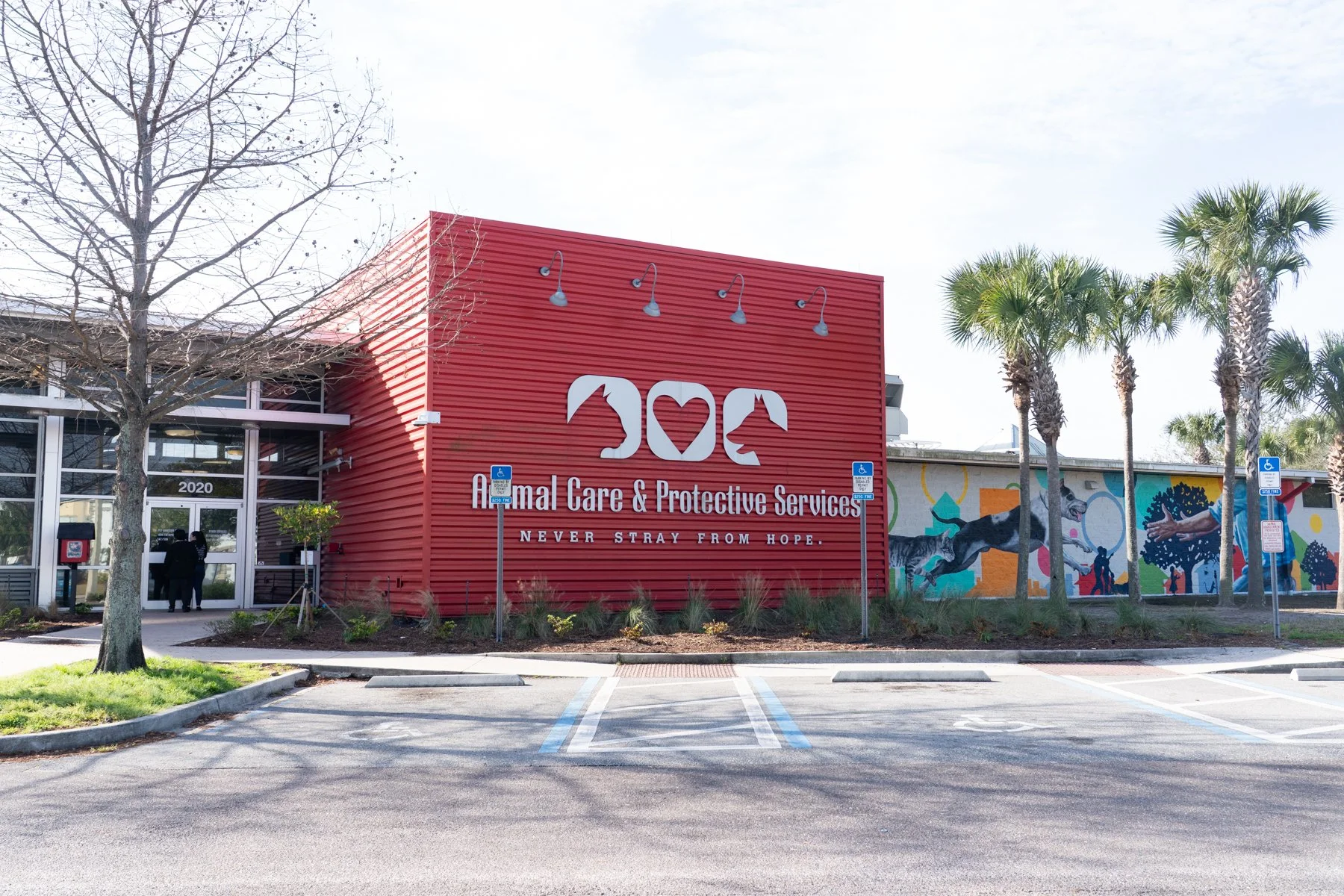 Big City, Bigger Heart: Jacksonville Animal Care &amp; Protective Services