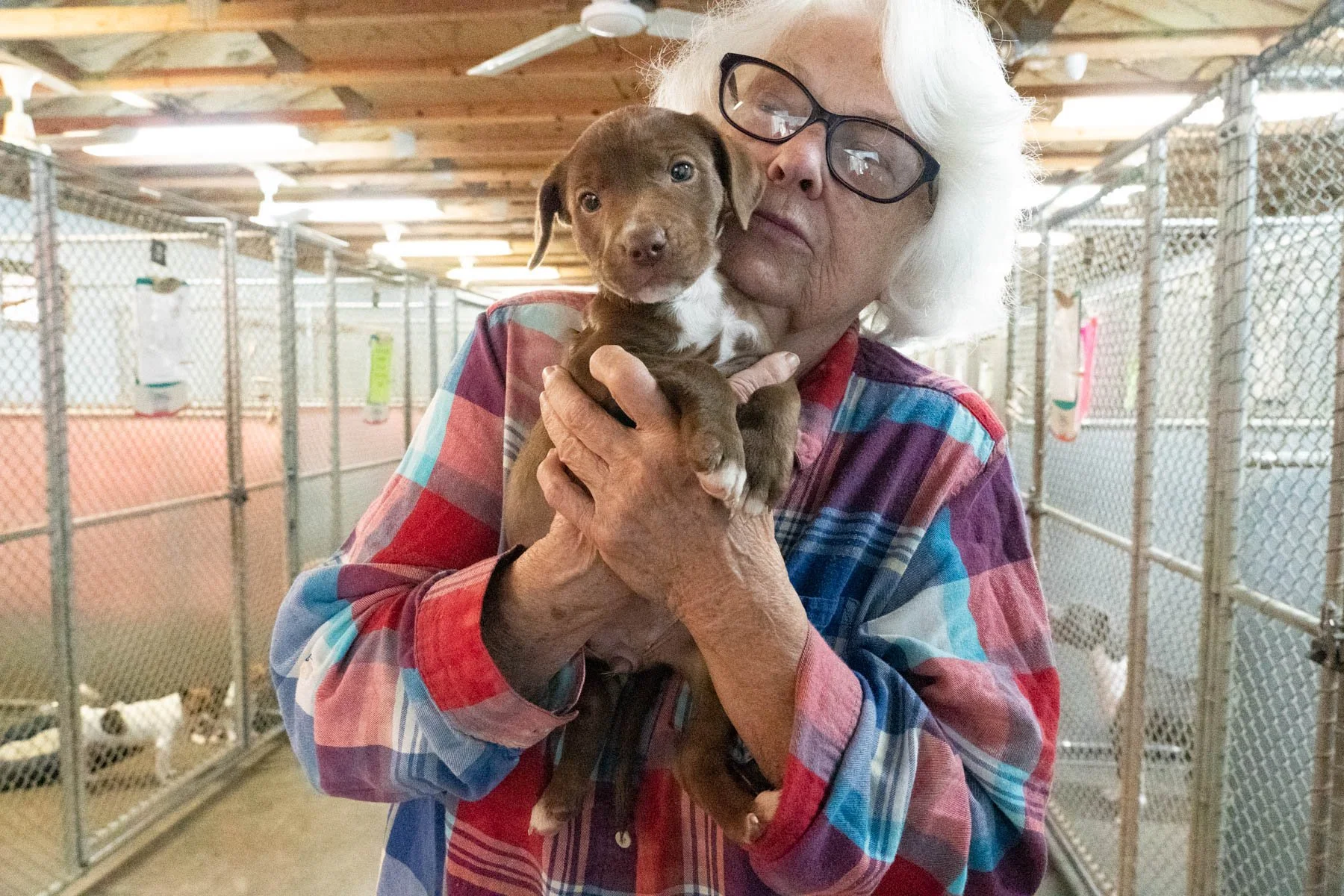 Partnering with Animal Control to Save Lives
