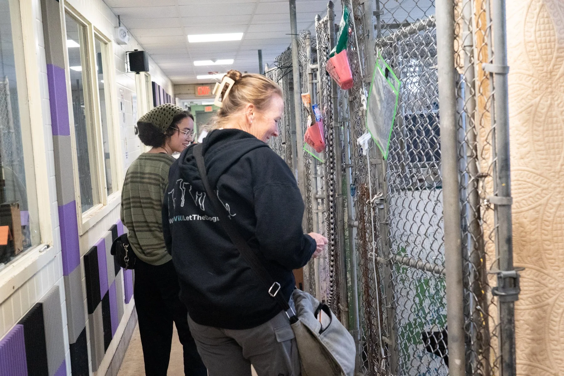 SPCA Cattaraugus County NY-92.jpg