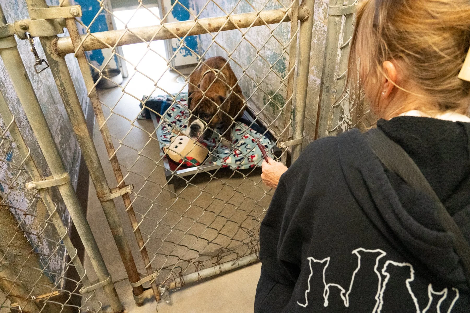 SPCA Cattaraugus County NY-18 (1).jpg