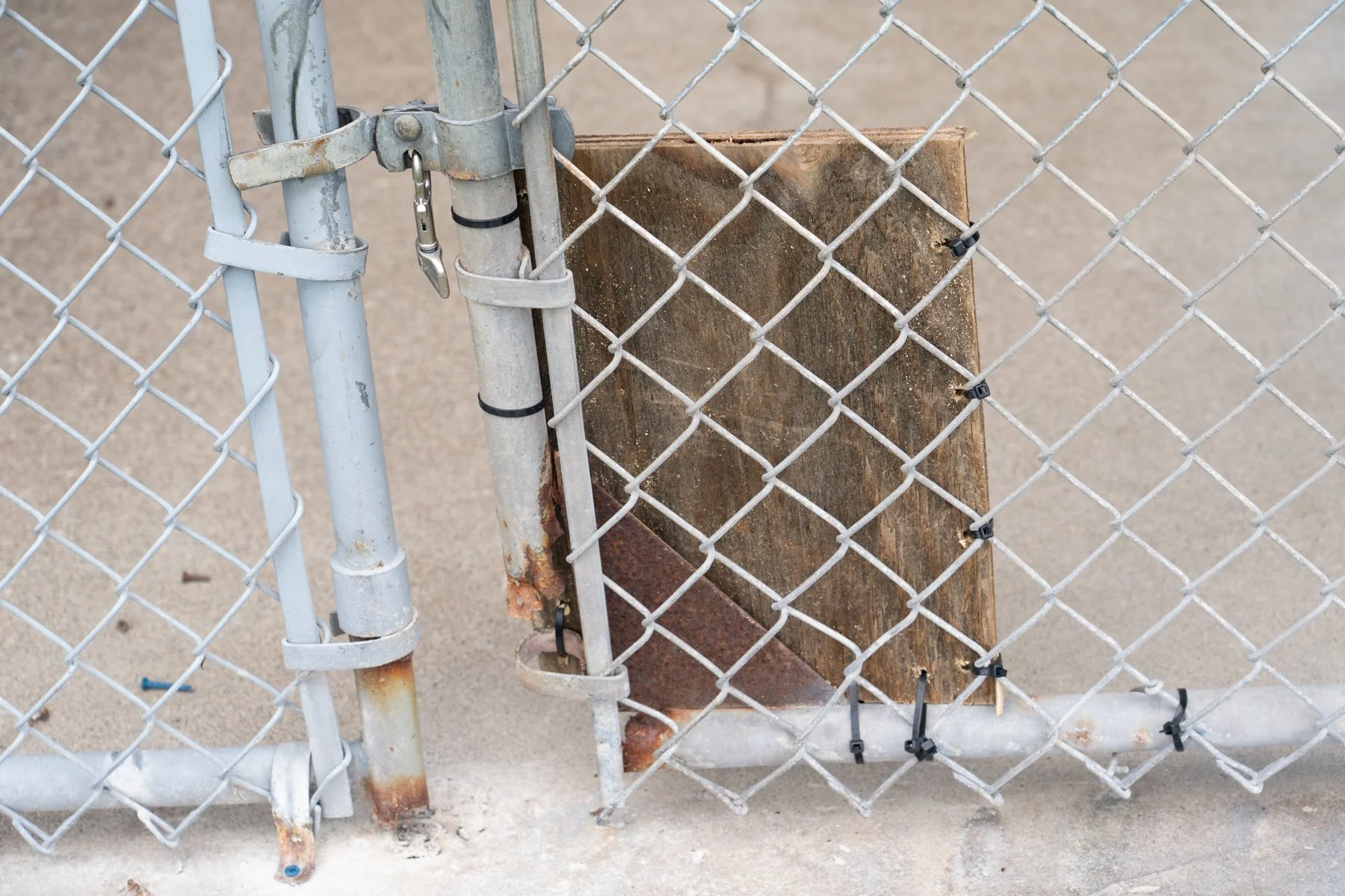 SPCA Cattaraugus County NY-75.jpg