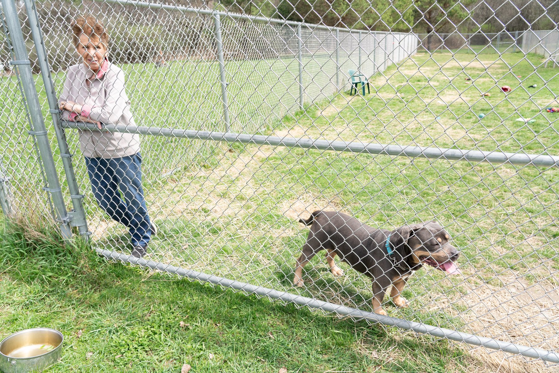 SPCA Cattaraugus County NY-61.jpg
