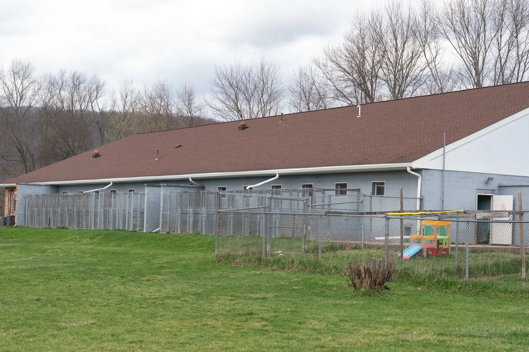 SPCA Cattaraugus County NY-66 (1).jpg