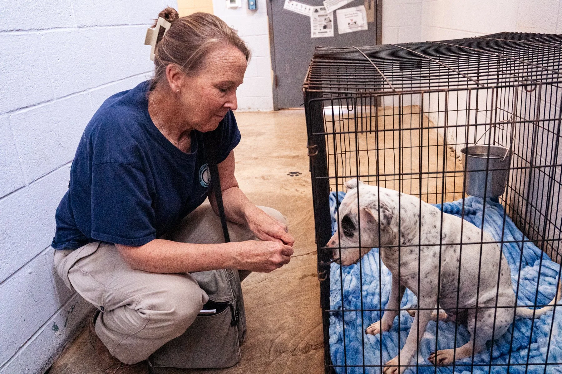 Overcrowded but Undeterred: Our First Ohio Shelter Visit