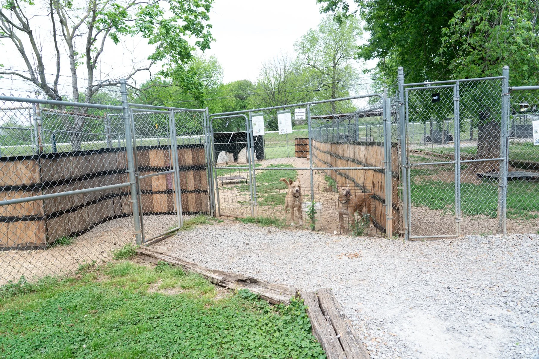 Logan County-67.jpg