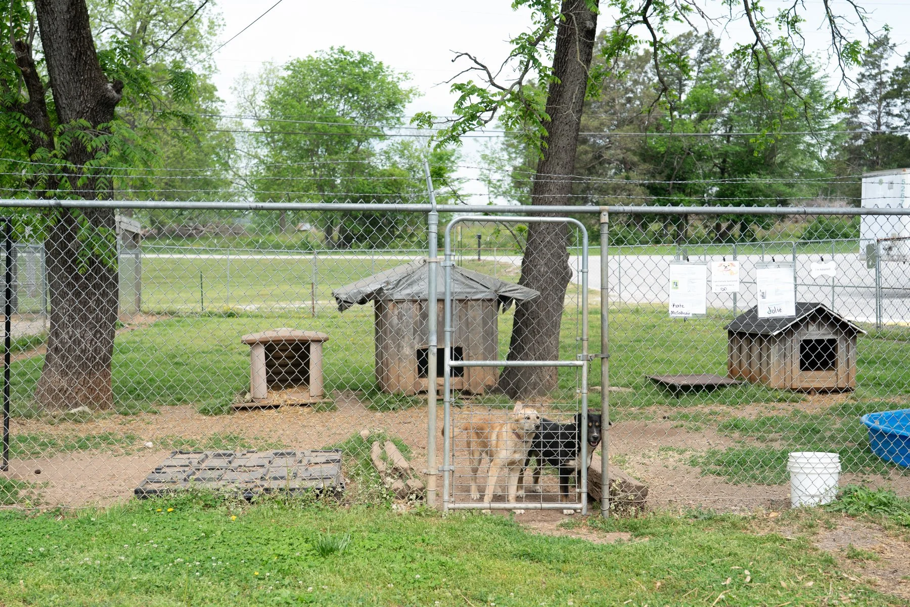 Logan County-54.jpg