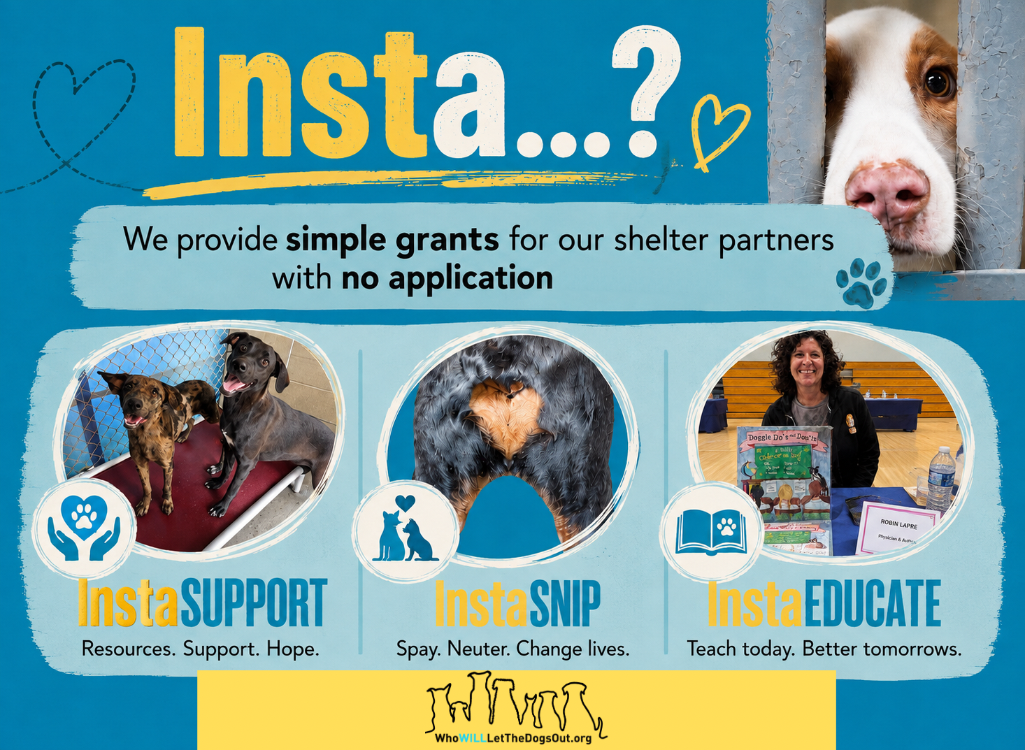 How and Why Our Shelter Grant Programs Work Differently